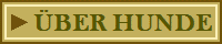 �BER HUNDE
